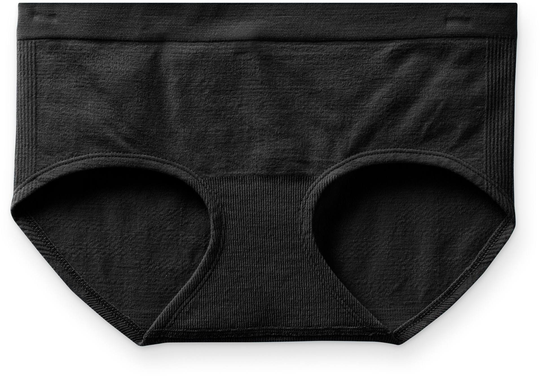 SmartWool Women's Seamless Hipster