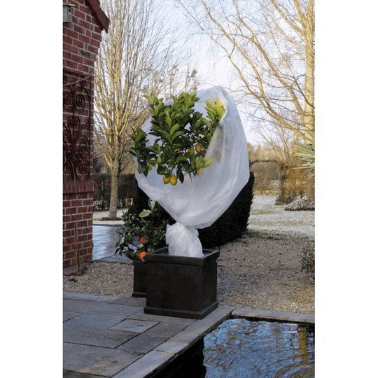 Nature Fleece talvipeite 30 g/m² valkoinen 2x5 m