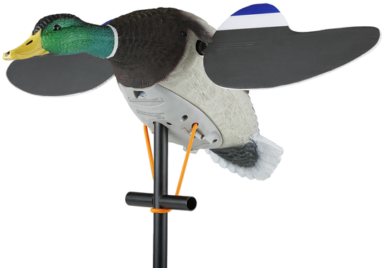 Lucky Duck Junior II robosorsa