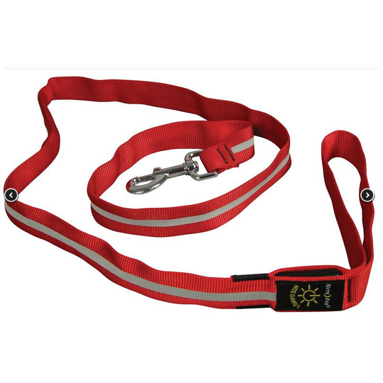 Niteize NiteDawg koiran heijastin talutushihna LED-valolla